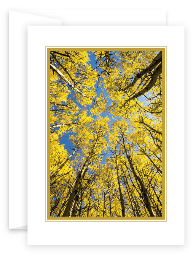 Golden Branches Fall Card Blank inside card image