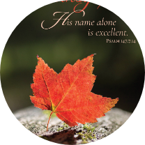 Thanksgiving featured card design group