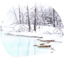 Winter featured envelope design group