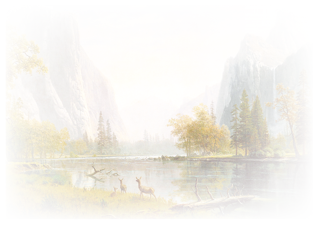 Golden Fall Yosemite home printable envelope address template design
