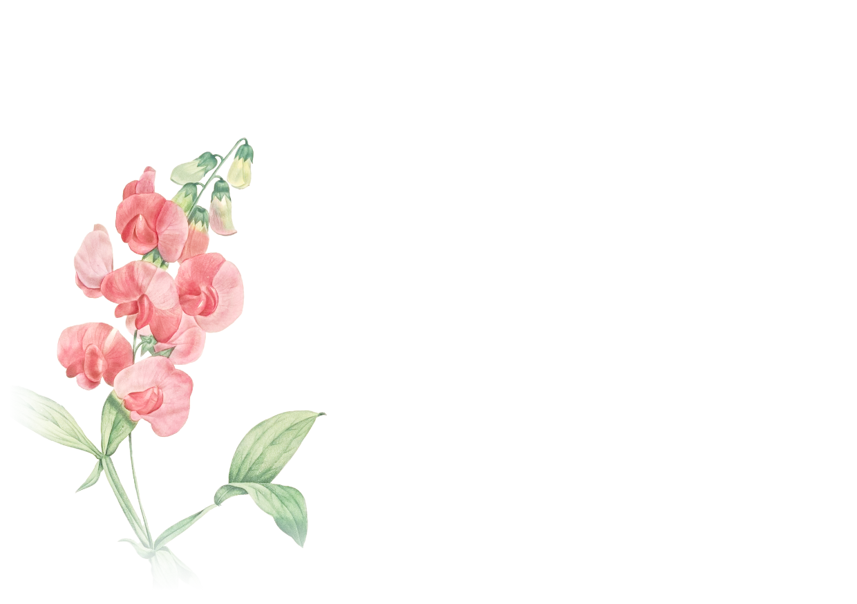 Sweet Pea home printable envelope address template design